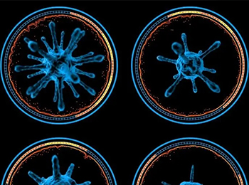 医疗器械包装微生物屏障性能测试方法